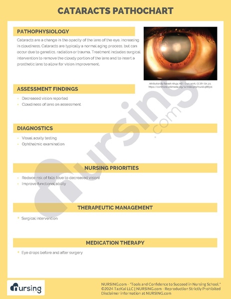 File:Cataracts Pathochart.pdf