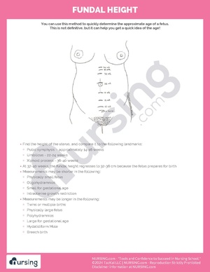 Fundal Height.pdf