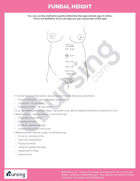 File:Fundal Height.pdf