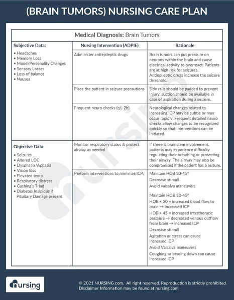 File:Example Care Plan Brain Tumors.pdf