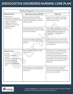 Example Care Plan Dissociative Disorders.pdf