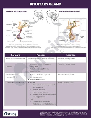 Pituitary Gland.pdf