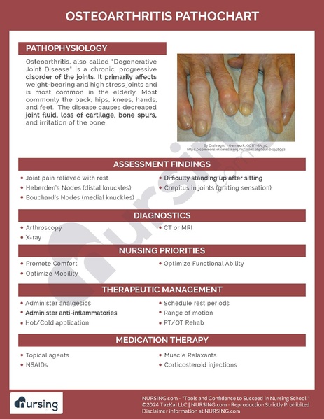 File:Osteoarthritis Pathochart.pdf
