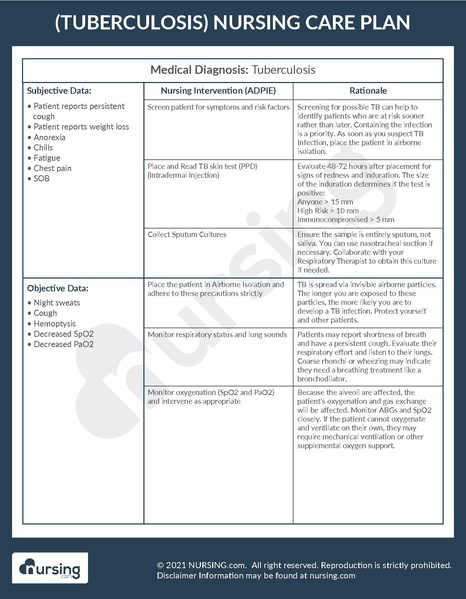 File:Example Care Plan Tuberculosis.pdf