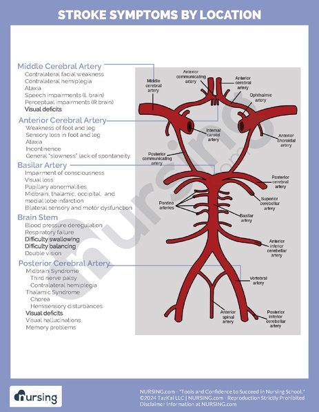 File:Stroke Locations.pdf