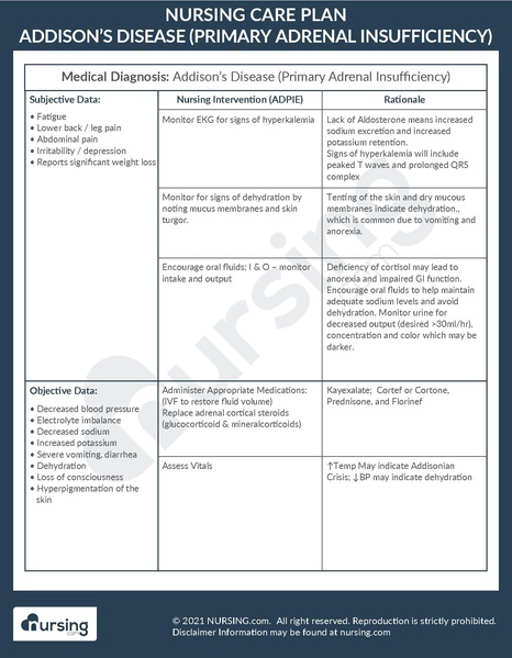 File:Example Care Plan Addison’s Disease (Primary Adrenal Insufficiency).pdf