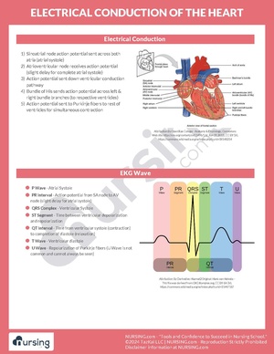Electrical Conduction of The Heart.pdf
