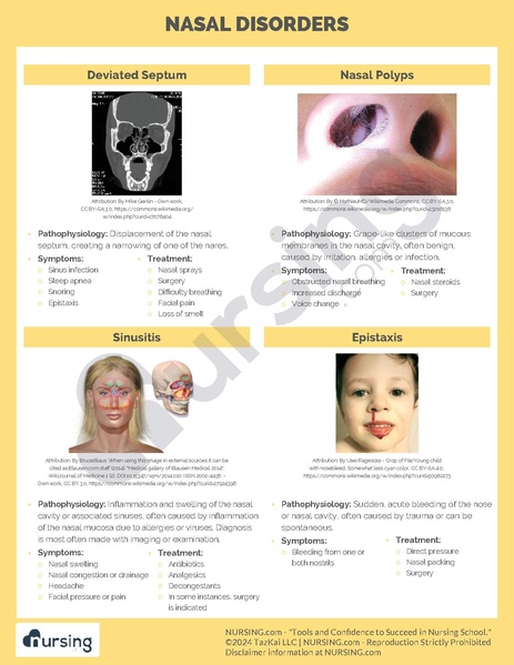 File:Nasal Disorders.pdf