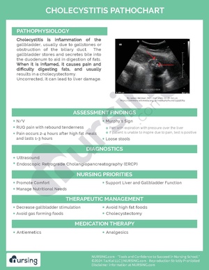 Cholecystitis Pathochart.pdf