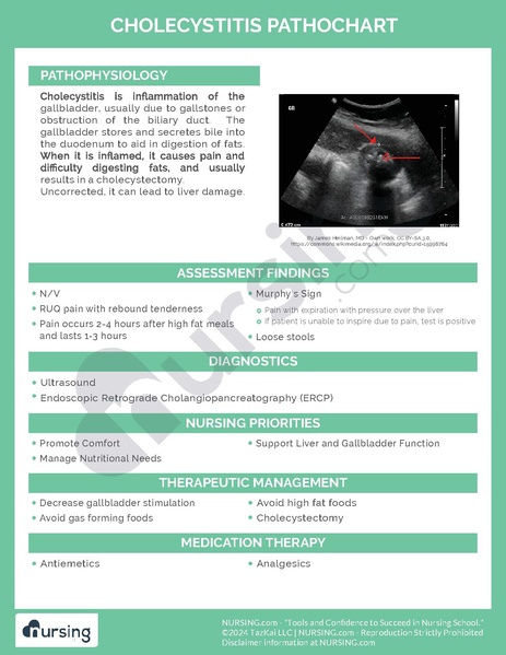 File:Cholecystitis Pathochart.pdf