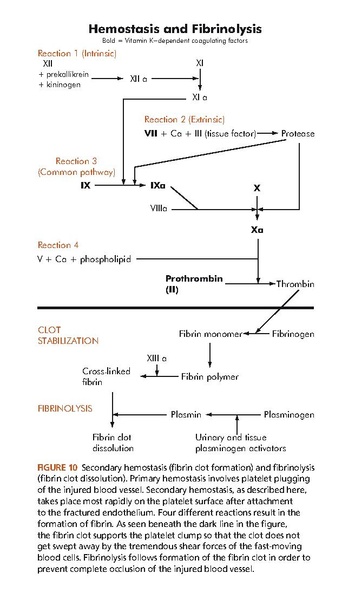 File:Mosbys-diagnostic-and-laboratory-test-reference-12th-ed.pdf