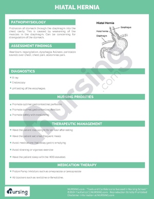 Hiatal Hernia Pathochart.pdf