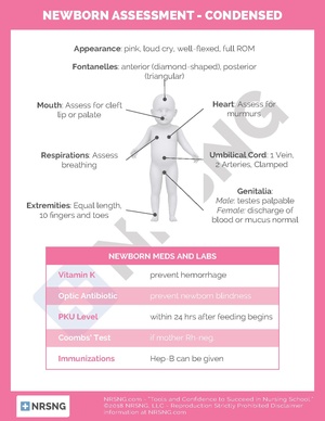 Newborn Assessment – Condensed.pdf