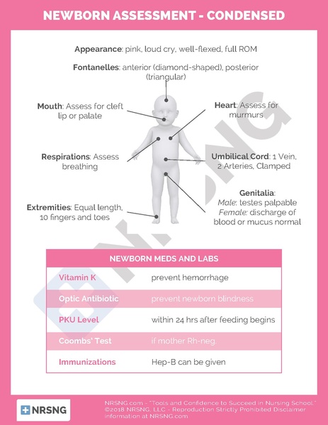 File:Newborn Assessment – Condensed.pdf