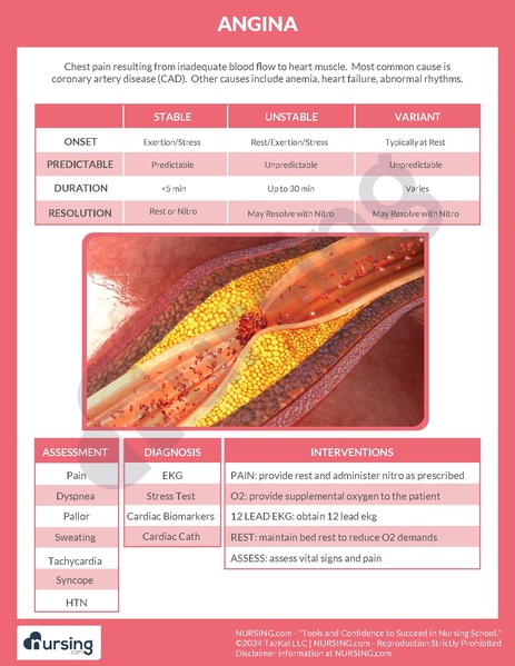 File:Angina.pdf