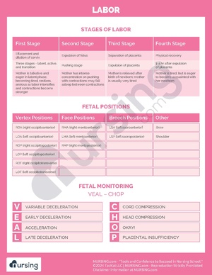 Stages of Labor.pdf
