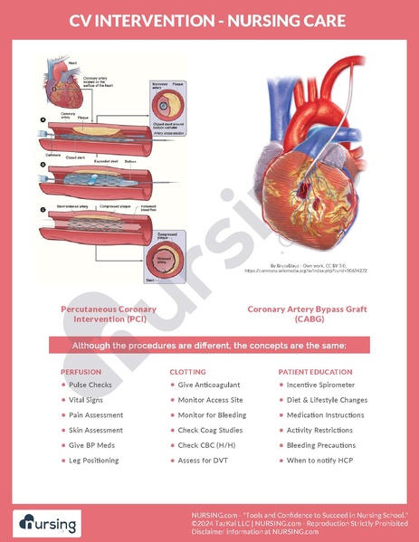 File:CV Intervention – Nursing Care.pdf