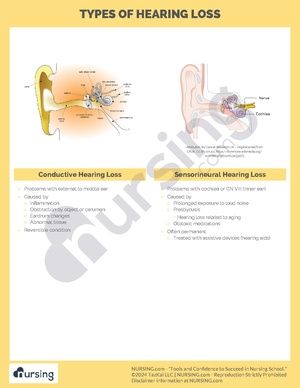 Hearing Loss Types.pdf
