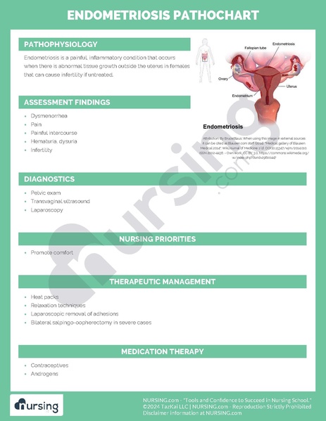 File:Endometriosis Pathochart.pdf