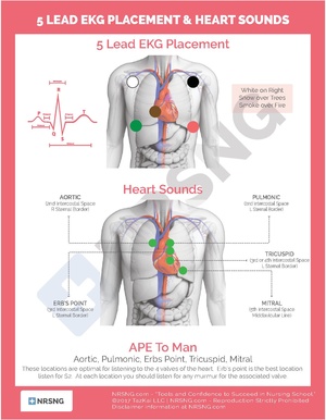 5 Lead EKG Placement.pdf