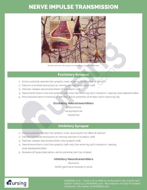Nerve Impulse Transmission.pdf