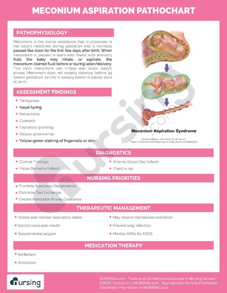 File:Meconium Aspiration Pathochart.pdf