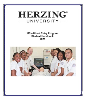 MSN DE Student Handbook.pdf