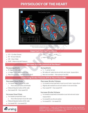 Physiology of the Heart.pdf