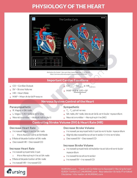 File:Physiology of the Heart.pdf