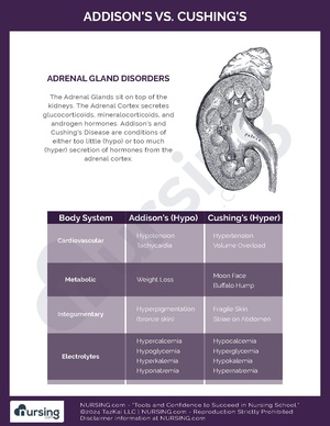 Addison’s vs. Cushing’s.pdf