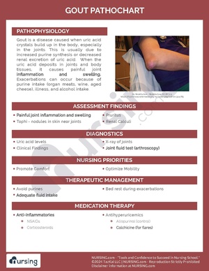 Gout Pathochart.pdf
