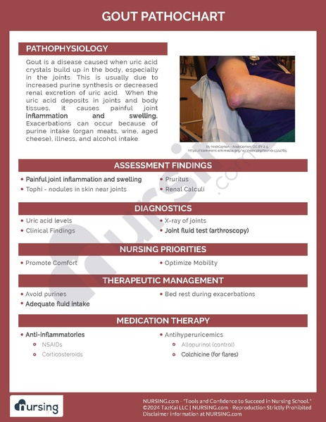 File:Gout Pathochart.pdf
