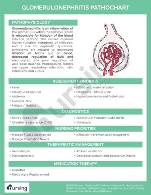 Glomerulonephritis Pathochart.pdf