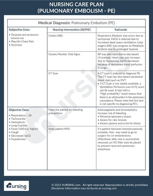Example Care Plan Pulmonary Embolism.pdf