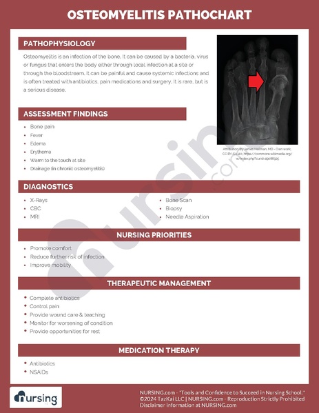 File:Osteomyelitis Pathochart.pdf