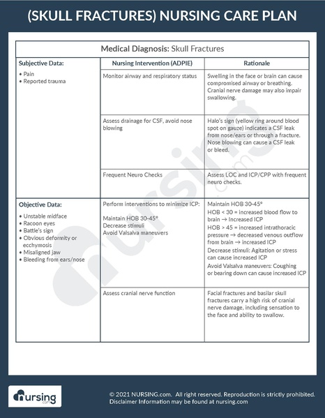 File:Example Care Plan Skull Fractures.pdf