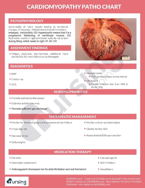 File:Cardiomyopathy Pathochart.pdf
