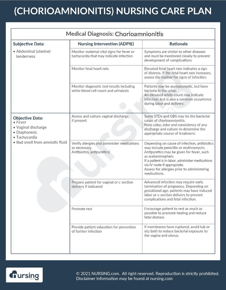 File:Example Care Plan Chorioamnionitis.pdf
