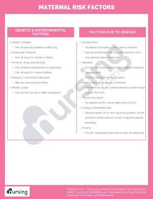 Maternal Risk Factors.pdf