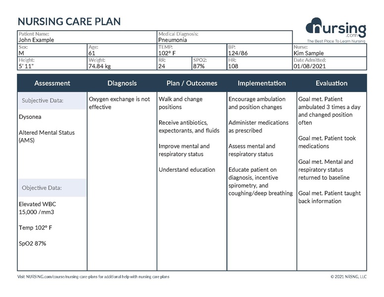File:Example Nursing Care Plan For Pneumonia.pdf