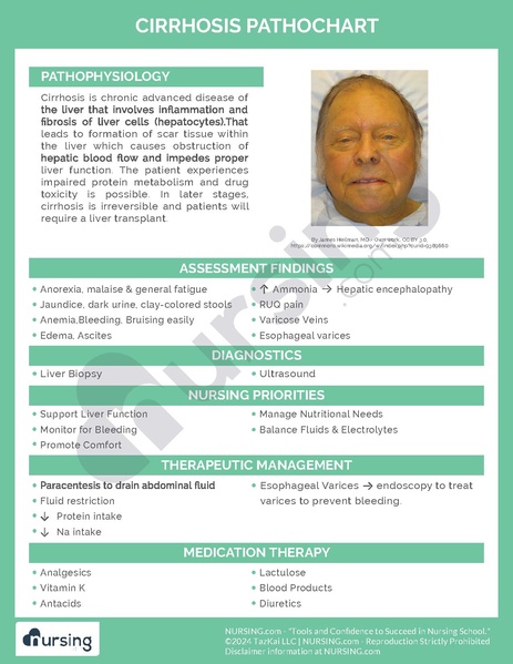 File:Cirrhosis Pathochart.pdf
