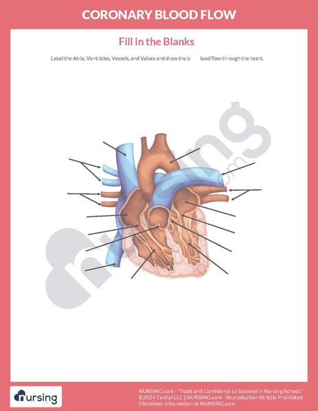 File:Coronary Blood Flow Worksheet.pdf