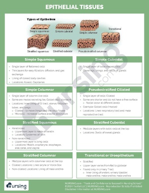 Epithelial Tissues.pdf