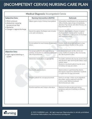 Example Care Plan Incompetent Cervix.pdf