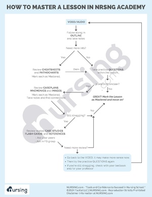 How to Master a Lesson.pdf