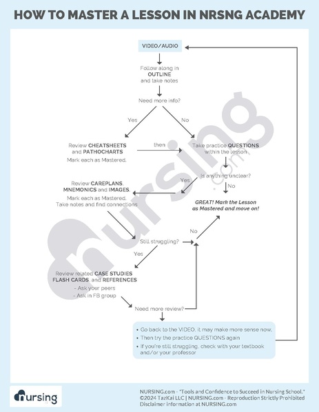 File:How to Master a Lesson.pdf
