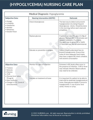 Example Care Plan Hypoglycemia.pdf