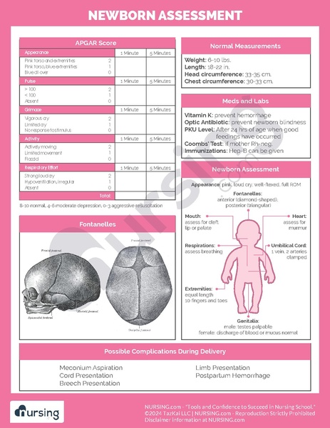 File:Newborn Assessment.pdf
