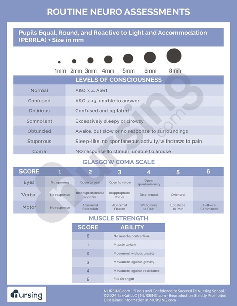 File:Routine Neuro Assessments.pdf
