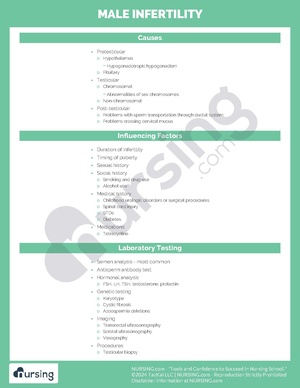 Male Infertility.pdf